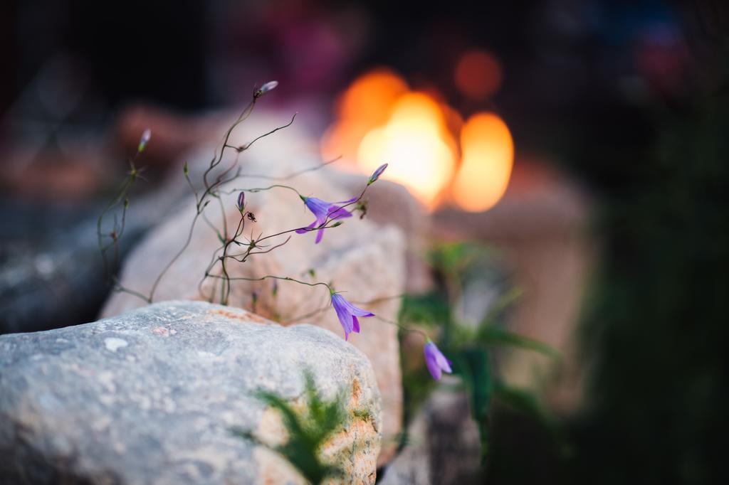 Bjoerkebo Camping Stollet Экстерьер фото